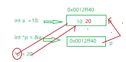 image-20210211114331828