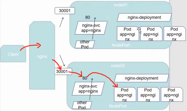image-20211117155548421